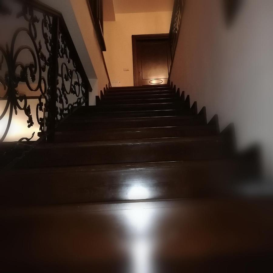 Penthouse Renasterii Amazonia Appartamento Timisoara